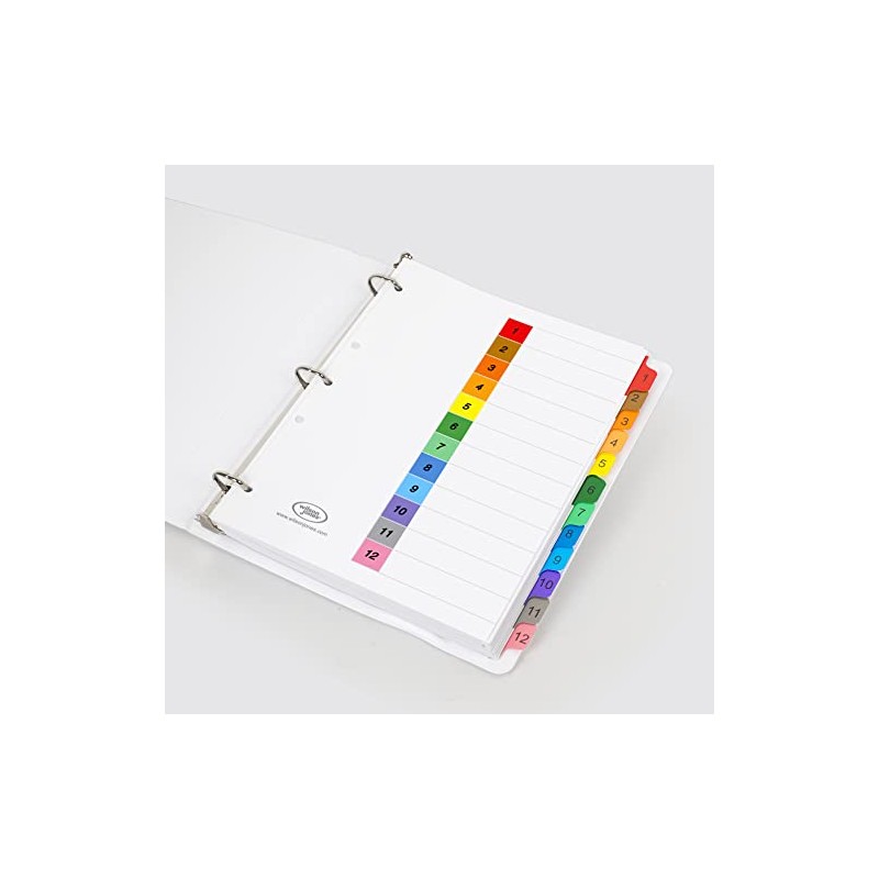 Wilson Jones P1348 Separadores de Carpeta Numerados, colores Brillantes, 12