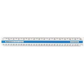 Staedtler As1212-2 Mars Oval Scale Ruler, 300 mm Size