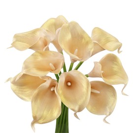 Angel Isabella, LLC 20pc Set of Keepsake Artificial Real Touch Calla Lily with Small Bloom Perfect for Making Bouquet, Boutonniere,Corsage (Blush with Metallic Gold Shade)