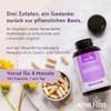 Milk Thistle Artichoke & Dandelion – 120 Capsules – German
