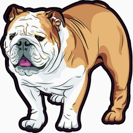 StickerTalk English Bulldog Vinyl Sticker, 5 inches by 5 inches