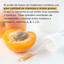 HEBBE - Aceite de Chabacano 100 ml No Obstruye los Poros y Combate el Envejecimiento Rico en Polifenoles, Desinflama y Alivia la Irritación de la Piel Apto para Todo Tipo de Piel Estimula la Regeneración Cutánea Contenido de 100 ml