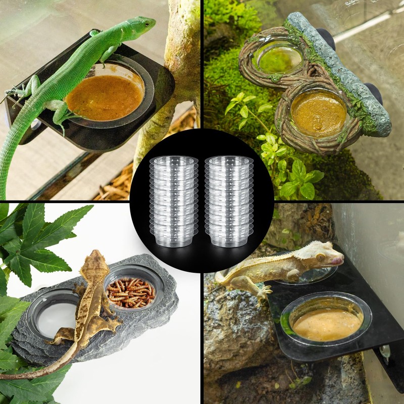 REPTIZOO 30PCS Feeding Cups for Reptile Magnetic Feeder Ledge, Replacement