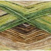 King Cole Bramble DK 100g (Greengage 4496)