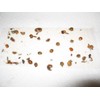 8 pk Economy All Insect Traps/Glue Boards/Window Strips.. Fly, Bees,