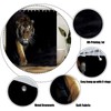 ZRUWUA Tiger Shower Curtain Cool Powerful Animals Big Cat Wild
