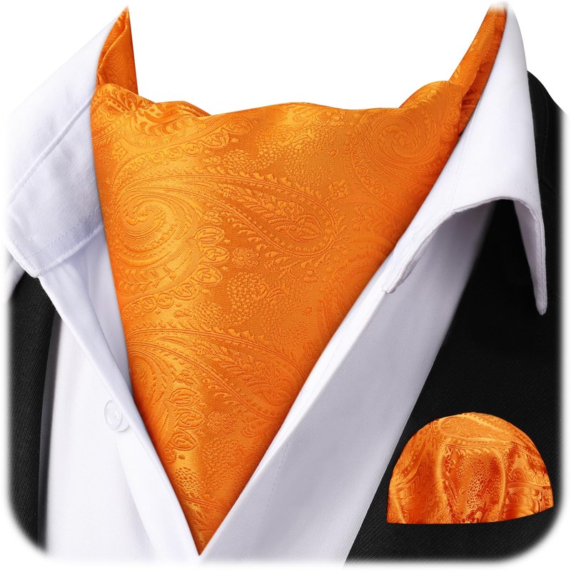 HISDERN Ascot Ties for Men Orange Paisley Cravat Tie and