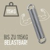 RIIJK Ceiling Hook and Oscillating Springs for a Hanging Chair,