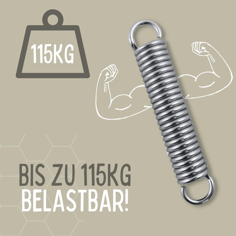 RIIJK Ceiling Hook and Oscillating Springs for a Hanging Chair,