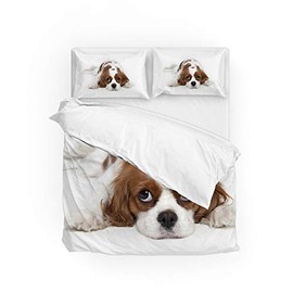 Top Carpenter Bedding Quilt Cover Set 3-Piece Suit Duvet Cover Set Cavalier King Charles Spaniel Laying 1 Duvet Cover 2 Pillowcases Queen Size 90x90 in