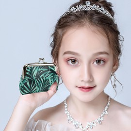 SNCCJ Cute Coin Purse for Women, Pack of 2 Small Exquisite Kiss Lock Coin Bag for Girls, Tropical rainforest, Fashion