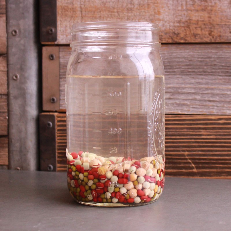 Handy Pantry Sprouting Jar Strainer Lid, BPA Free | Fits