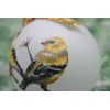 B011 Hand-made Christmas Ornament - wild bird - pair gold