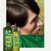 Yves Rocher Shampoo