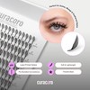Curacoro Anime Feather Spike Lash Extensions – 360 Fans Lightweight