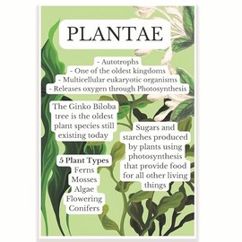 Plantae Classroom Poster - Science Biology Classroom Poster - 12 x 18 Inch - Classroom Decor - Classroom Must Haves - Back To School Decor - CPS0638