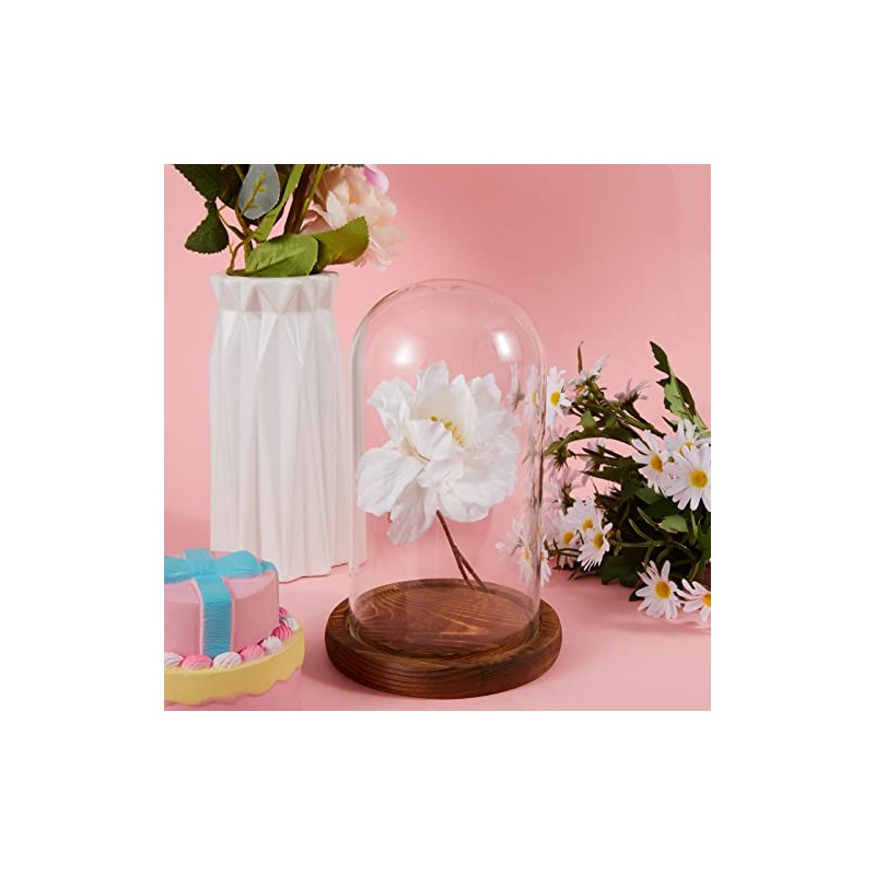 Suclain 4 Pcs Clear Glass Dome Cloche with Wood Base