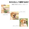Dog Leash Dog Slip Leash Reflective Rope Lead Anti-Pull Lead
