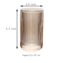 Gaolinci 2 Pcs Glass Tumbler Cup,Toothbrush Holder, Bathroom Cups, 13 oz
