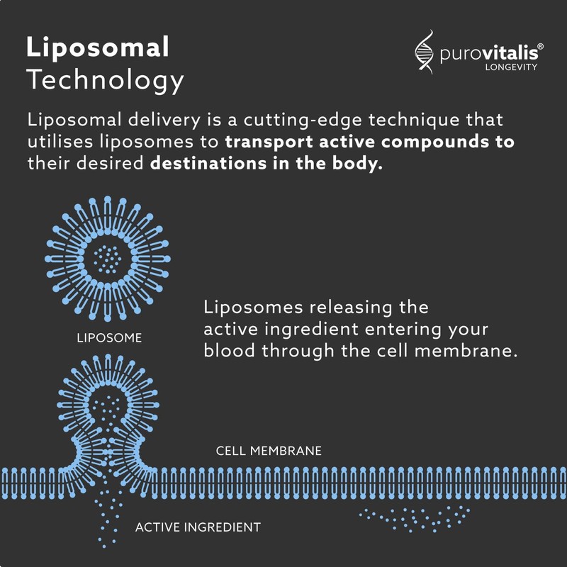 PUROVITALIS Liposomal Vitamin D3 2000iu, 60 Servings (60 Vegan Capsules),