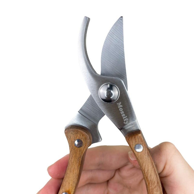 Mossify Garden Shears 8” – Premium Stainless Steel Pruning Shears