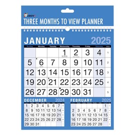 2025 Calendar, Planners & Personal Organisers, Wall Planners, Holidays and Notable Dates, Wall Planner Spiral Bound for Home Business Office School(3 Months to View)
