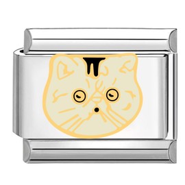 Quiges 9 mm Italian Style Charm Module Stainless Steel Cat for Italian Bracelets, Stainless Steel, No Gemstone