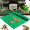 Vodolo Bearded Dragon Tank Accessories, Reptile Terrarium Carpet Soft Thickening