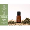 OLEUM VITAE 3x 2 Aceite Esencial De Orégano 100% Puro