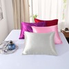 Silk Satin Pillowcases for Hair and Skin - Satin Standard