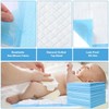 100 Pack Disposable Changing Pads, 17 X 13 Inch Disposable