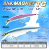 DUEL(デュエル) アイルマグネット TG ミノースリム 120mmフローティング 17g オリジナルイワシ 遠投 重心移動