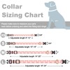 Rnivvi Dog Collar for Small Dogs, Cute Heavy Duty Adjustable