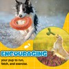 VioraWhite 3 Pcs Tough Floating Dog Toy with Squeaker Dog