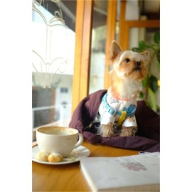 Dino Puppy Pajamas Cute Soft Dog Clothes Cats Pajamas Dog Jumpsuit for Small Dogs Cats Kitten Dog Onesie Dog Sweater Dinosaur Dog Apparel Pet Clothes