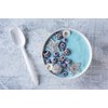 Naturejam Orgánico 100 Espirulina Azul En Polvo 1 Libra Grado