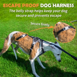 Huntboo Escape Proof Dog Harness – No Pull, No Slip, Fully Reflective, Adjustable 7-Point Design for Small, Medium, and Large Dogs – Lightweight for Outdoor Training & Hiking (Black, M)