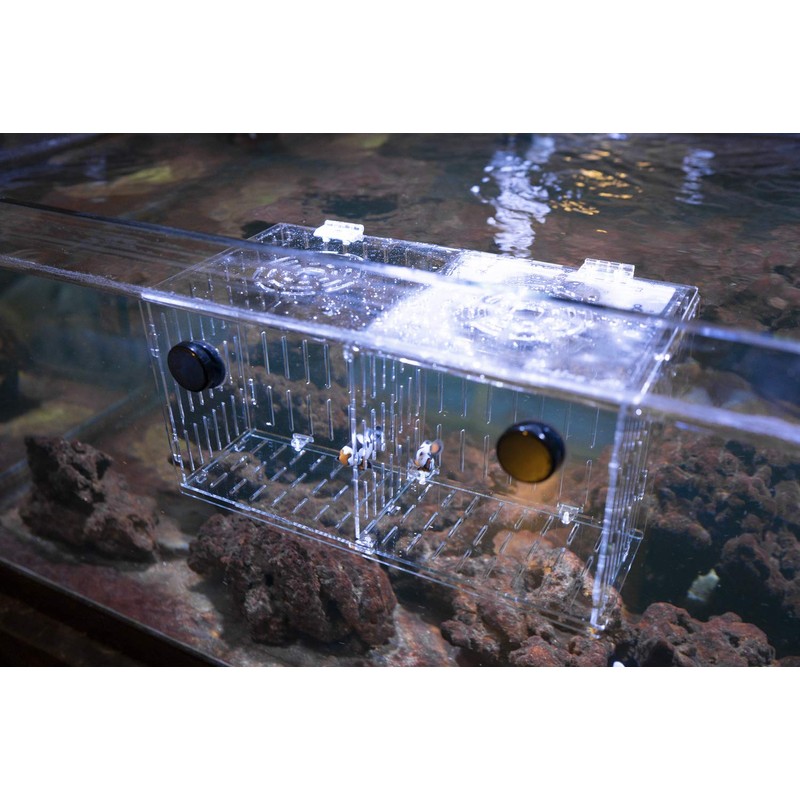 Reefing Art Magnetic Acclimation Box fish Breeder Nursery isolation Tank