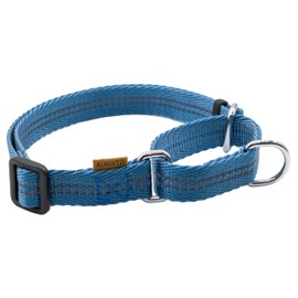 Aiminto Adjustable Nylon Reflective Martingale Dog Collar for Training and Walking (Blue, M (Neck: 15"-22", Width: 3/4"))