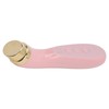 Facial Beauty Massager Hot Compress Vibration EMS Microcurrent Skin Tightening