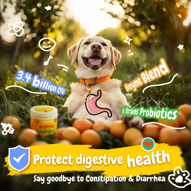 PENPEN Probiotics for Dogs, Dogs Probiotics for Digestive Health, Multi-Probiotic