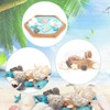 arricraft 15 Styles Shell Beads, Ocean Theme Beads Set, Natural