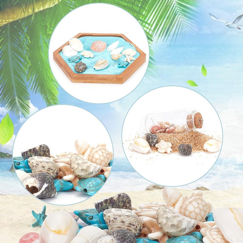 arricraft 15 Styles Shell Beads, Ocean Theme Beads Set, Natural
