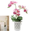 Exzzauk 1PC Orchid Pots with Holes, 4 Inch Ceramic Orchid