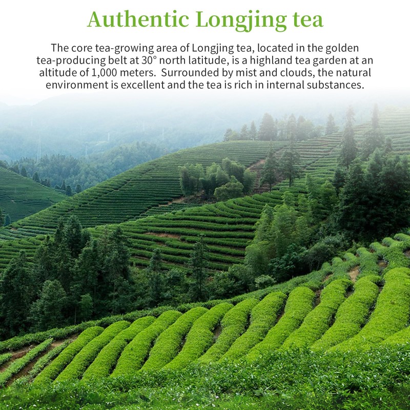 Longjing Tea Dragon Well Green Tea Loose Leaf Pre-qingming Longjing
