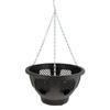 Green Jem 12-Inch Plastic Hanging Basket - Black