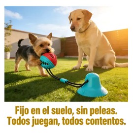 Juguete Mordedera Perro Para Familias Con Varios Perros