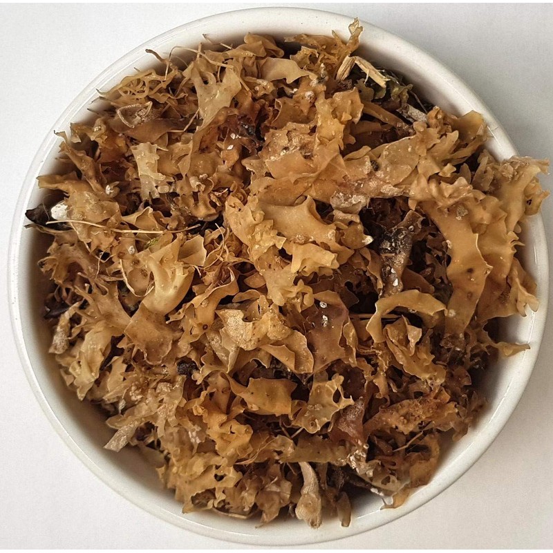 Health Embassy Irish Moss (Chondrus crispus L.) (50g)