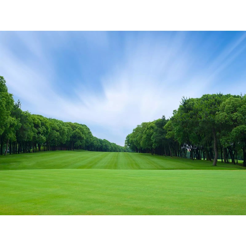 Evergreen Farm and Garden Diamond Pro Green Divot Sand -