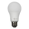 Norman Lamps LED-A19OMNI-4000K Cool-White - Volts: 120V, Watts: 9W, Type: